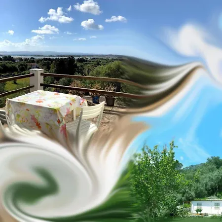 Cá Da Marta Q4526 *