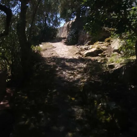 Cá Da Marta Q4526 Carloforte (Isola di San Pietro)