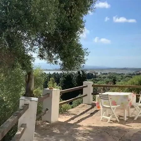 Cá Da Marta Q4526 *