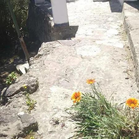 Casa de Férias Cá Da Marta Q4526 *