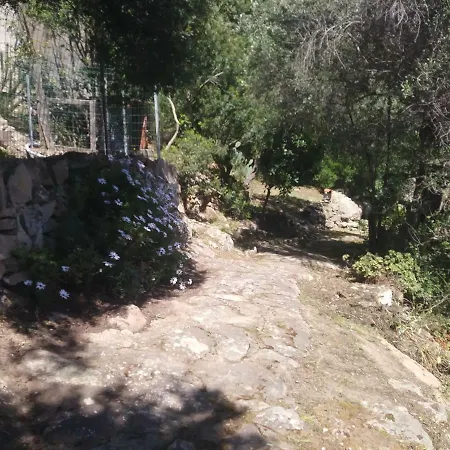 Cá Da Marta Q4526 Casa vacanze