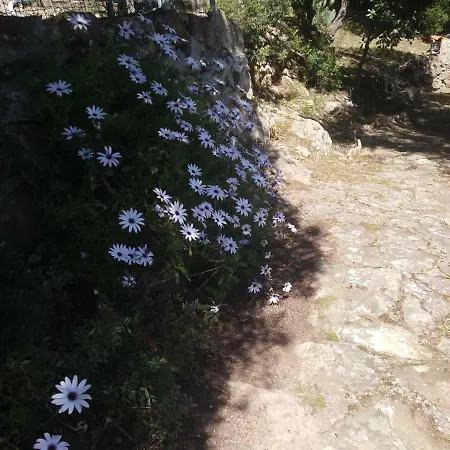 Cá Da Marta Q4526 Casa de Férias *