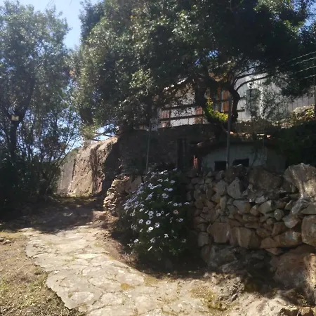 Cá Da Marta Q4526 *