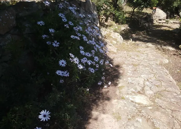 Ca Da Marta Q4526 Semesterbostad *